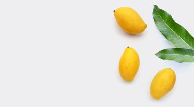 Tropik meyve, beyaz arka planda mango..