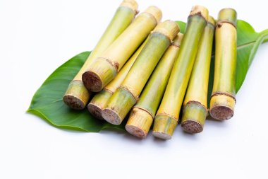 Beyaz zemin üzerine şeker kamışı.