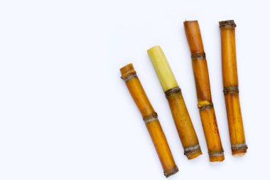 Beyaz zemin üzerine şeker kamışı.