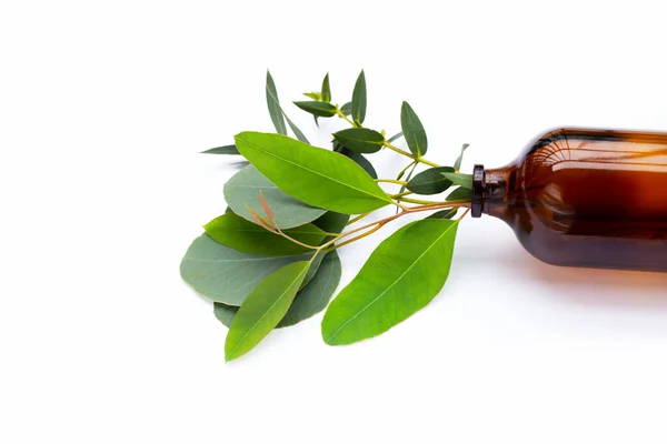 Green Leaves Eucalyptus Essential Oil Bottle White — Stock Photo, Image