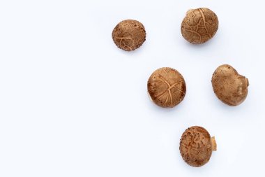 Beyaz arka planda taze shiitake mantarları.