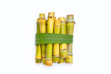 Beyaz zemin üzerine şeker kamışı.