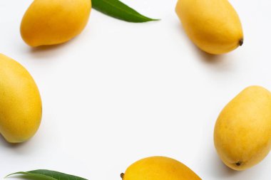 Tropik meyve, beyaz arkaplanda mangodan yapılmış çerçeve.