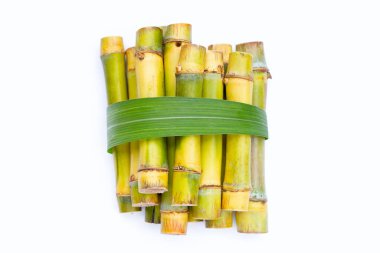 Beyaz zemin üzerine şeker kamışı.