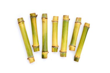 Beyaz zemin üzerine şeker kamışı.