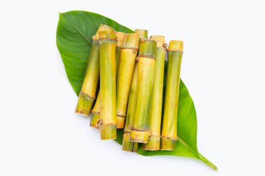 Beyaz zemin üzerine şeker kamışı.