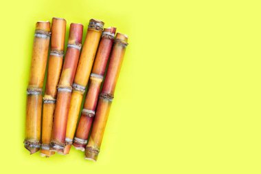 Yeşil arka planda şeker kamışı.