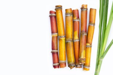 Beyaz zemin üzerine şeker kamışı.