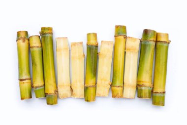 Beyaz zemin üzerine şeker kamışı.