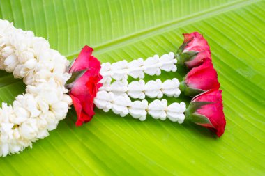 Taçlı gül ve yasemin çelengi