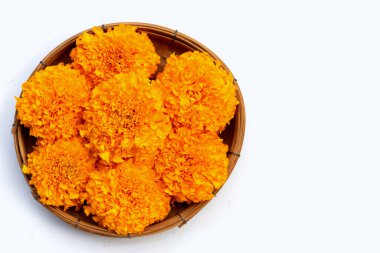 Bambu sepetinde kadife çiçekleri