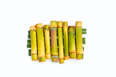 Beyaz zemin üzerine şeker kamışı.