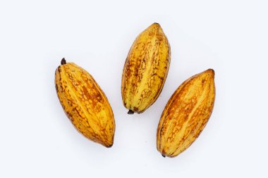 Beyaz arka planda izole edilmiş kakao meyvesi