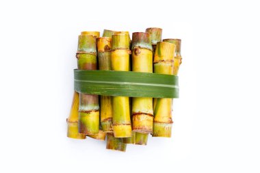 Beyaz zemin üzerine şeker kamışı.