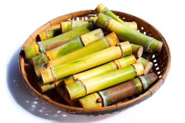 Beyaz zemin üzerine şeker kamışı.