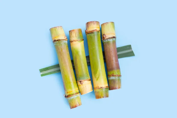 Sugar Cane Blue Background — Stok fotoğraf