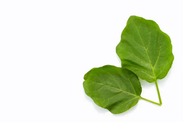 Frische Auberginenblätter Auf Weißem Hintergrund — Stockfoto