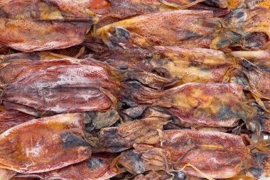 Beyaz arkaplanda kurumuş mürekkep balığı.