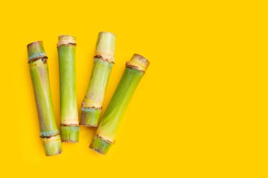 Sarı zemin üzerinde şeker kamışı.