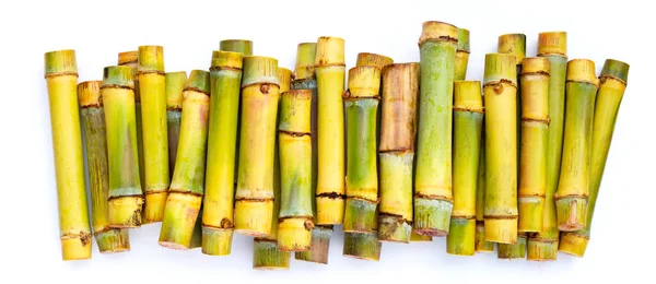Sugar Cane White Background — Stock Photo, Image