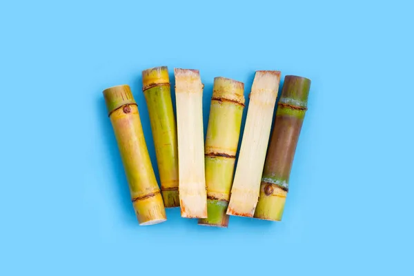 Sugar Cane Blue Background — Stok fotoğraf