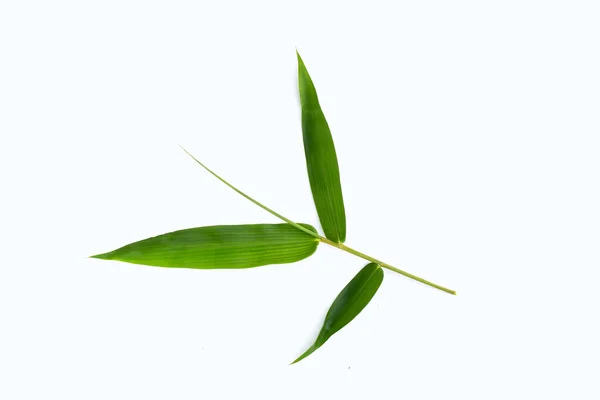 Bamboo Leaves White Background — Stock Photo, Image