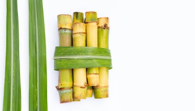 Beyaz zemin üzerine şeker kamışı.