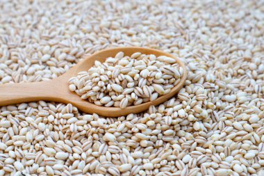 Tahta kaşıklı arpa taneleri 