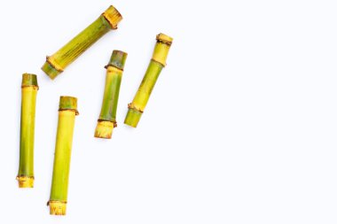 Beyaz zemin üzerine şeker kamışı.