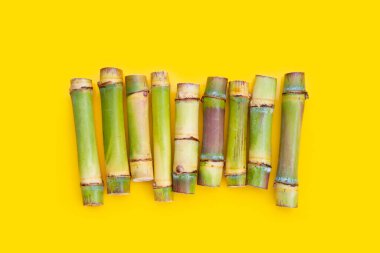 Sarı zemin üzerinde şeker kamışı.