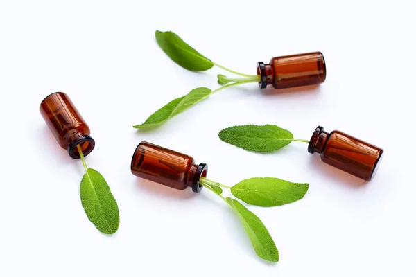 Hojas Salvia Con Botellas Esenciales Sobre Fondo Blanco —  Fotos de Stock