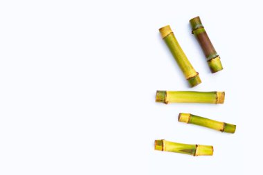 Beyaz zemin üzerine şeker kamışı.