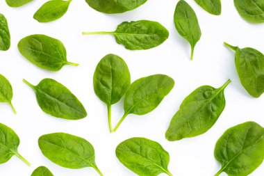 Beyaz arkaplanda ıspanak yaprakları.