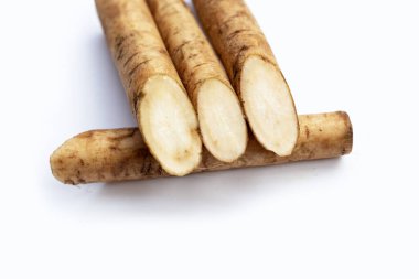 Beyaz arkaplanda Burdock Kökü (Gobo).