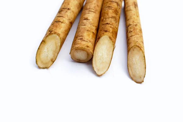 Burdock Root Gobo White Background — Stock Photo, Image