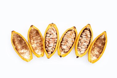 Beyaz arka planda izole edilmiş kakao meyvesi