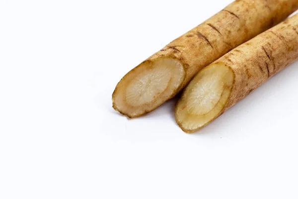 Burdock Root Gobo White Background — Stock Photo, Image