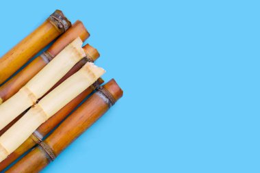 Mavi arka planda şeker kamışı.