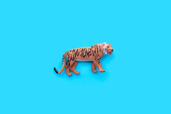 Tigre Brinquedos Fundo Azul — Fotografia de Stock