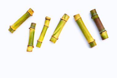 Beyaz zemin üzerine şeker kamışı.