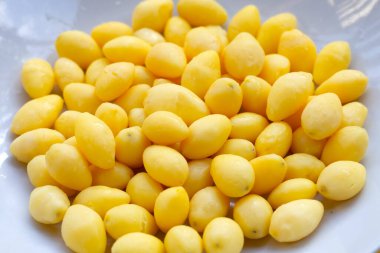 Beyaz arka planda haşlanmış ginkgo fındığı.