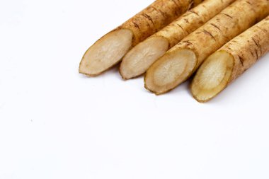 Beyaz arkaplanda Burdock Kökü (Gobo).