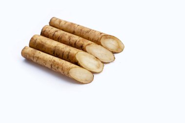 Beyaz arkaplanda Burdock Kökü (Gobo).