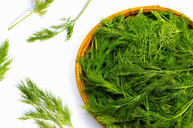 Beyaz yeşil taze dereotu.