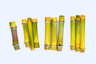 Mavi arka planda şeker kamışı.