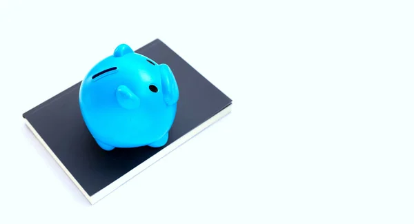 Blue Piggy Bank Book — Stock Photo, Image