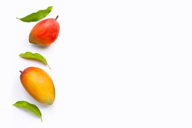 Tropik meyve, beyaz arka planda mango. Üst görünüm