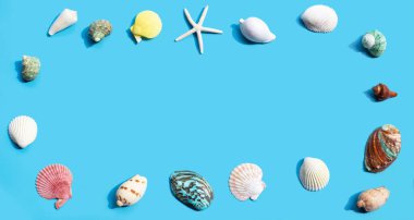 Mavi arka planda deniz yıldızı ve egzotik deniz kabuklarından yapılmış çerçeve. Üst görünüm