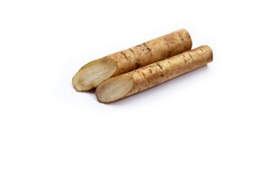 Beyaz arkaplanda Burdock Kökü (Gobo).