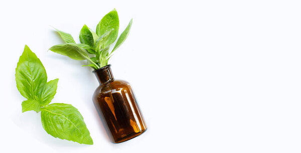 A bottle of essential oil with fresh basil leaves on white background.